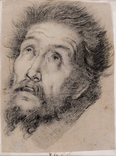 Studie für den heiligen Franziskus von Assisi, das Kreuz verehrend von Bernardo Strozzi